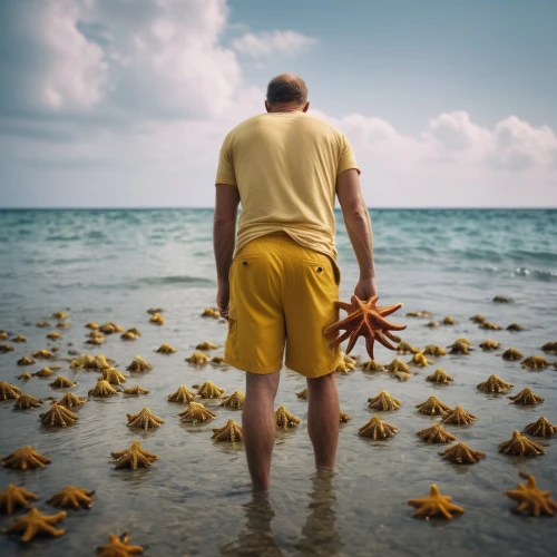 starfishes,starfish,sea star,man at the sea,the shallow sea,conceptual photography,star anise,sea urchins,sea-urchin,photo manipulation,exploration of the sea,sea-life,sea urchin,marine biology,photoshop manipulation,the people in the sea,the beach crab,leaving your comfort zone,digital compositing,star fruit,Photography,General,Cinematic