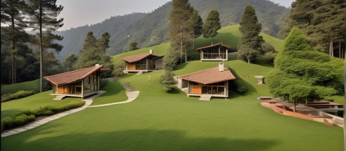 green lawn,grass roof,artificial grass,alpine pastures,eco hotel,roof landscape,house in mountains,tea garden,tea plantations,turf roof,garden buildings,green landscape,golf lawn,mountain huts,green living,house in the mountains,lawn,chalet,floating huts,tea field,Photography,General,Realistic