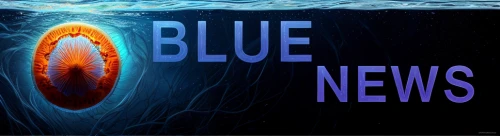 news about virus,news media,news page,news,newsgroup,blue planet,blue whale,tech news,blue fish,blue cave,blue background,blue caves,the blue caves,blu,bluish,breaking news,newsletter,blue eggs,blue mushroom,blue color,Realistic,Landscapes,Underwater Fantasy
