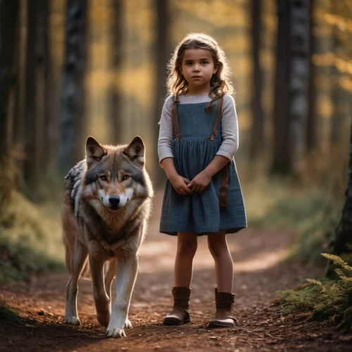 girl with dog,little boy and girl,girl and boy outdoor,boy and dog,european wolf,little girls walking,little girl in pink dress,walk with the children,children's fairy tale,the little girl,two wolves,little girl in wind,little red riding hood,little girl running,gray wolf,little girl dresses,human and animal,photographing children,forest animals,vintage boy and girl,Photography,General,Cinematic