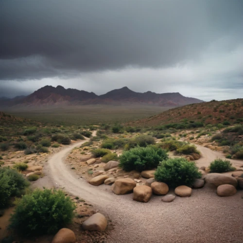 teide national park,desert desert landscape,desert landscape,arid landscape,valley of fire state park,mojave desert,valley of fire,united states national park,big bend,landscape photography,red rock canyon,mojave,arizona,the atacama desert,teide,nevada,high desert,capture desert,the desert,landscapre desert safari