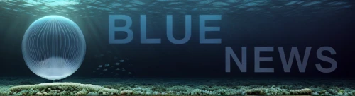blue planet,blue fish,blu,news page,blue eggs,blue cave,news about virus,the blue caves,blue whale,news,news media,blue stripe fish,blue caves,blue mushroom,underwater background,blue lamp,tech news,bluish,blue color,newsgroup,Realistic,Landscapes,Underwater Fantasy