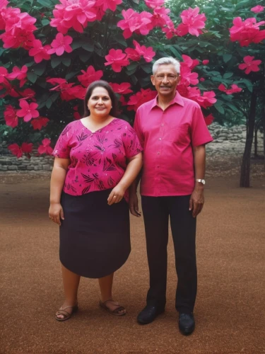 social,grandparents,ipê-rosa,sapodilla family,flamingo couple,man and wife,anniversary 50 years,couple goal,mother and father,pink family,lotustemple,mother and grandparents,husband and wife,royal botanic garden,as a couple,parents,wife and husband,botanical gardens,two people,grandparent,Photography,General,Natural