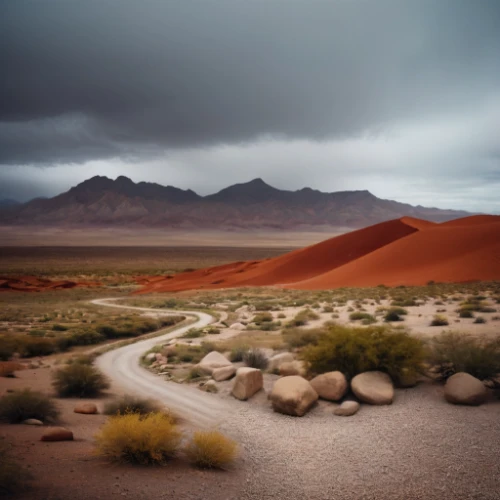 desert desert landscape,desert landscape,arid landscape,the atacama desert,capture desert,death valley,landscape photography,stone desert,mojave desert,namib desert,dune landscape,namib,the desert,argentina desert,teide national park,sossusvlei,landscapre desert safari,atacama desert,united states national park,desert