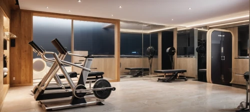 fitness room,fitness center,luxury bathroom,beauty room,shower bar,home workout,workout equipment,indoor rower,luxury home interior,health spa,walk-in closet,modern minimalist bathroom,leisure facility,wellness,changing room,exercise equipment,indoor cycling,core renovation,renovate,interior modern design