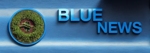 blue butterfly background,news about virus,blue background,blue macaws,news page,blue pushcart,newsgroup,blue eggs,tech news,blue leaf frame,blue spruce,blue flax,blue ribbon,himilayan blue poppy,cdry blue,blue morpho,news,blue wren,news media,blue morpho butterfly,Material,Material,North American Oak