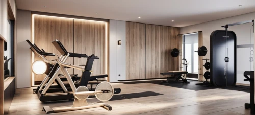 fitness room,fitness center,exercise equipment,workout equipment,leisure facility,workout items,indoor rower,pair of dumbbells,gym,fitness coach,exercise machine,home workout,gymnastics room,weightlifting machine,wellness,indoor cycling,physical fitness,bodypump,fitness,great room,Photography,General,Realistic