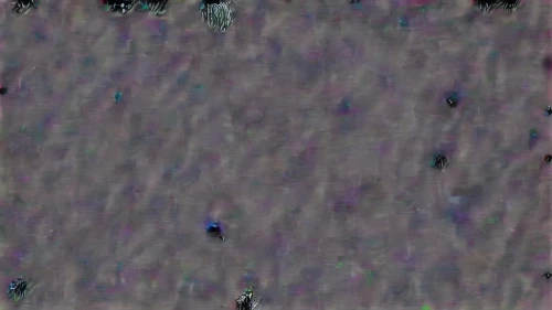 glitch art,glitch,pavement,transparent image,carpet,background pattern,mermaid scales background,crowd of people,rain field,tarmac,background abstract,on a transparent background,zoom out,transparent background,pixel cells,swarms,crayon background,crowds,abstract background,cropped image,Photography,General,Natural