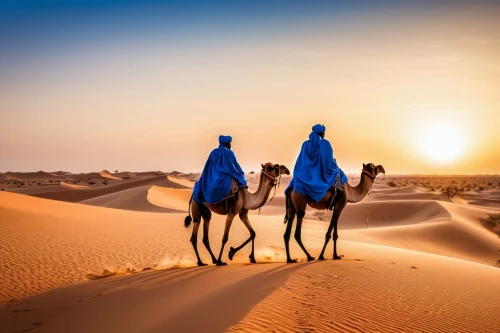 dromedaries,arabian camel,camels,camel caravan,dromedary,libyan desert,shadow camel,bedouin,merzouga,arabian horses,capture desert,sahara desert,desert landscape,male camel,camelride,desert desert landscape,nomadic people,two-humped camel,desert safari dubai,rem in arabian nights,Photography,General,Realistic