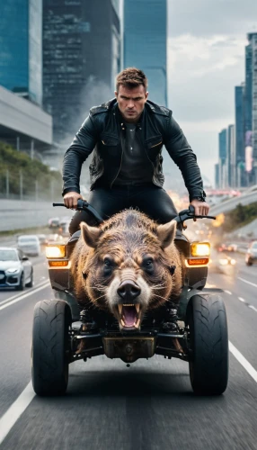 warthog,wild boar,pig,hog,action film,boar,mad max,lucky pig,suckling pig,open hunting car,fast car,animal film,street racing,hogs,crossover suv,fast and furious,animals hunting,moottero vehicle,pig roast,transporter,Photography,General,Commercial