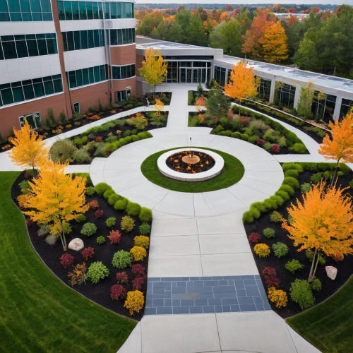 landscaping,ornamental shrubs,ornamental plants,paved square,fall foliage,biotechnology research institute,fall landscape,fall leaf border,hospital landing pad,landscape lighting,agricultural engineering,ornamental shrub,fall colors,company headquarters,nature garden,flower borders,garden of plants,northeastern,center park,autumn borders,Photography,General,Realistic