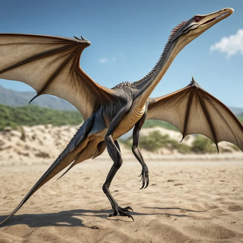 pterosaur,pterodactyls,pterodactyl,troodon,draconic,marine reptile,limnephilidae,saurian,dragon of earth,gonepteryx rhamni,gonepteryx cleopatra,black dragon,seat dragon,dragon,gryphon,iguanidae,platycercus,dragon design,landmannahellir,fringe-toed lizard,Photography,General,Realistic