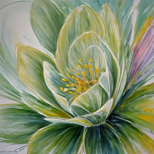 protea,lotus flowers,flower of water-lily,waterlily,flower painting,lotus,lotus blossom,lotus art drawing,lotus flower,water lilly,golden lotus flowers,lotus ffflower,water lily,water lilies,white water lily,large water lily,sacred lotus,water lily flower,white water lilies,giant protea