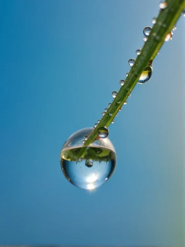 water droplet,waterdrop,water drop,dewdrops,a drop of water,waterdrops,droplet,dewdrop,dew droplets,dew drop,dew drops,water droplets,drop of water,water drops,mirror in a drop,dew-drop,a drop,drops of water,raindrop,droplets of water,Photography,General,Realistic