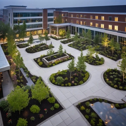biotechnology research institute,landscape lighting,landscaping,courtyard,ornamental shrubs,roof garden,ornamental plants,perennial plants,garden of plants,the local administration of mastery,botanical square frame,company headquarters,woodlands,paved square,winter garden,new building,corporate headquarters,office buildings,climbing garden,nature garden,Photography,General,Realistic