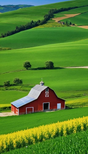 farm landscape,farm background,farmland,red barn,rural landscape,cropland,home landscape,aaa,agricultural,agriculture,vegetables landscape,landscape background,farmlands,green landscape,wisconsin,canola,green fields,corn field,countryside,country side,Photography,General,Realistic