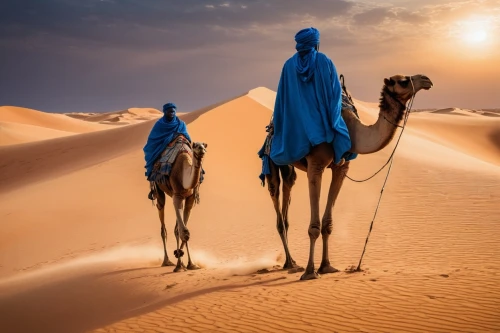 dromedaries,camels,arabian camel,camel caravan,shadow camel,male camel,dromedary,camelride,two-humped camel,sahara desert,merzouga,nomadic people,camel,capture desert,bedouin,libyan desert,sahara,rem in arabian nights,camel train,camelid,Photography,Artistic Photography,Artistic Photography 15