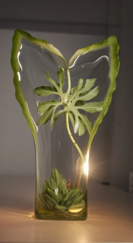 glass vase,miracle lamp,lantern plant,tea light holder,energy-saving lamp,glass jar,flower vase,candle holder,desk lamp,ikebana,replacement lamp,illuminated lantern,plasma lamp,fragrance teapot,flower bowl,glass container,glass ornament,bedside lamp,table lamp,incandescent lamp,Photography,General,Realistic