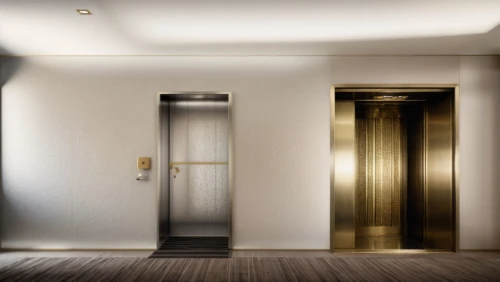 metallic door,hinged doors,elevators,3d rendering,shower door,hallway space,sliding door,luxury bathroom,search interior solutions,room divider,render,interior modern design,3d render,contemporary decor,luxury hotel,visual effect lighting,interior decoration,elevator,walk-in closet,art deco