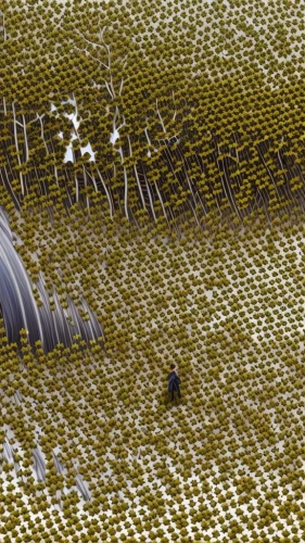pollen warehousing,solar field,algae,glass tiles,fabric texture,woven fabric,honeycomb structure,corrugated sheet,water surface,venus surface,egg net,glass fiber,pollen,banana leaf,fishing net,pool water surface,wafer,mermaid scales background,solar cell base,photovoltaic cells