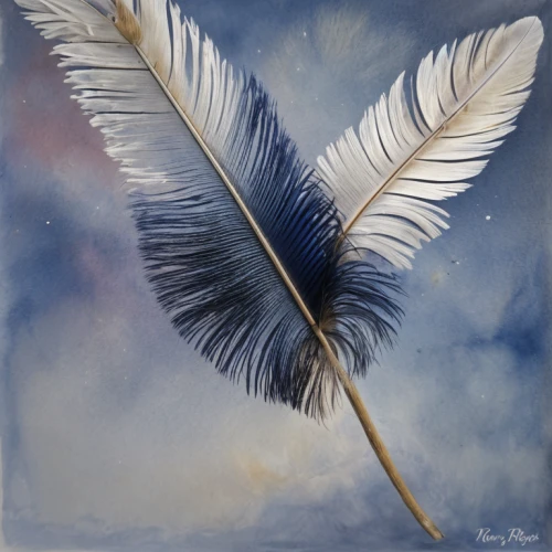 white feather,angel wing,bird feather,swan feather,feather,chicken feather,bird wing,angel wings,hawk feather,feather headdress,pigeon feather,feather jewelry,plume,watercolor bird,dove of peace,black feather,prince of wales feathers,feathers,bird painting,winged heart