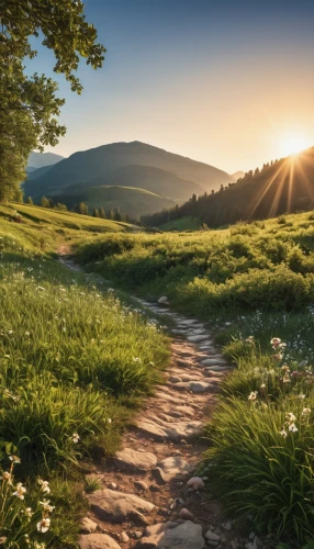 appalachian trail,aaa,the mystical path,online path travel,pathway,carpathians,hiking path,the path,meadow landscape,the way of nature,meadow rues,ore mountains,landscape background,bieszczady,path,nature landscape,the way,background view nature,landscapes beautiful,landscape photography,Photography,General,Realistic