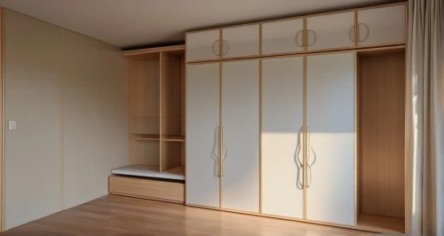 walk-in closet,room divider,japanese-style room,storage cabinet,cabinetry,sliding door,under-cabinet lighting,armoire,cupboard,one-room,kitchen cabinet,modern room,hallway space,shelving,hinged doors,search interior solutions,wardrobe,closet,metal cabinet,cabinets,Photography,General,Realistic