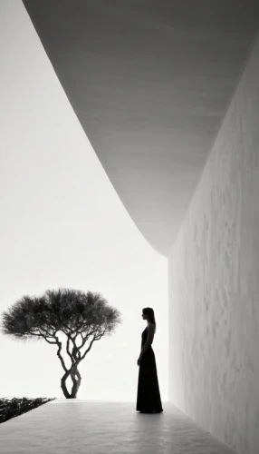 the japanese tree,bodhi tree,woman silhouette,buddhist monk,middle eastern monk,woman walking,monk,girl with tree,tree of life,the girl next to the tree,silk tree,argan tree,buddhist,bonsai,blackandwhitephotography,women silhouettes,monks,tree silhouette,buddhists monks,the mystical path