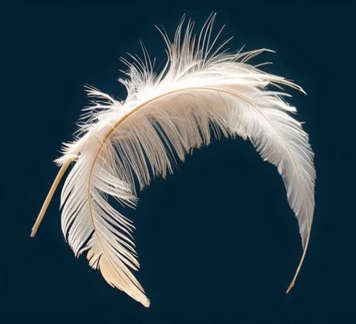 feather headdress,white feather,hawk feather,swan feather,feather jewelry,chicken feather,prince of wales feathers,pigeon feather,peacock feather,beak feathers,feather,headdress,bird feather,peacock feathers,war bonnet,indian headdress,ostrich feather,black feather,feathers,parrot feathers