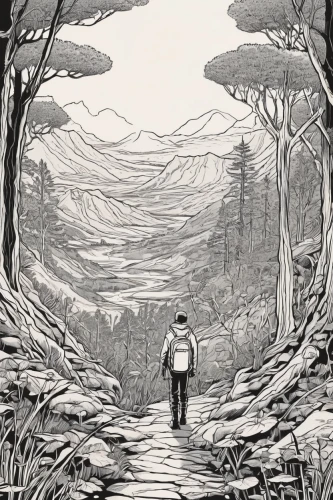 wander,forest walk,hiker,the path,hollow way,hiking path,frame illustration,pathway,forest path,hand-drawn illustration,trail,road of the impossible,wanderer,exploration,the mystical path,hiking,book illustration,the wanderer,background image,the woods,Illustration,American Style,American Style 12