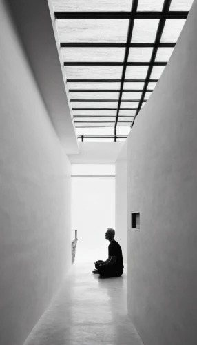 white room,whitespace,daylighting,art gallery,archidaily,white space,minimalism,soumaya museum,gallery,klaus rinke's time field,art museum,skylight,hallway space,white battery,empty interior,wall lamp,blackandwhitephotography,minimal,athens art school,empty hall,Illustration,Black and White,Black and White 33