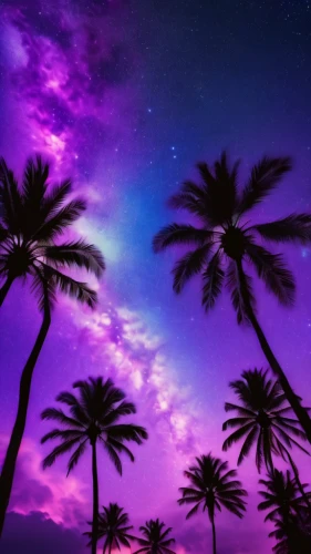 purple wallpaper,purple landscape,purpleabstract,purple,purple and pink,purple background,ultraviolet,pink-purple,tropical floral background,palms,light purple,unicorn background,background colorful,purple blue,full hd wallpaper,colorful background,wall,palm silhouettes,palm tree silhouette,colorful stars,Photography,General,Natural