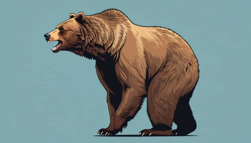 kodiak bear,nordic bear,bear,grizzly bear,grizzly,brown bear,grizzlies,bear guardian,bear kamchatka,great bear,bear bow,sun bear,ursa,scandia bear,bears,cub,grizzly cub,brown bears,cute bear,bear teddy