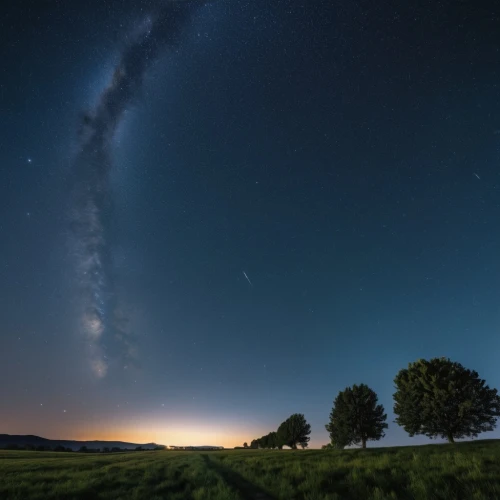 perseid,the milky way,astrophotography,milky way,perseids,the night sky,night sky,milkyway,night photography,night image,night photograph,astronomy,nightsky,nightscape,starry sky,tobacco the last starry sky,earth in focus,lone tree,stargazing,night stars,Photography,General,Realistic