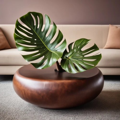 ficus,cycad,houseplant,tropical leaf pattern,monstera,mid century modern,danish furniture,modern decor,money plant,contemporary decor,fan palm,potted palm,fan leaf,areca nut,wooden flower pot,palm leaf,palm fronds,wooden bowl,tropical leaf,house plants,Photography,General,Realistic