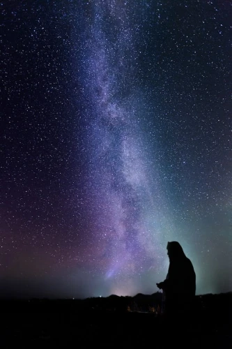 the milky way,milky way,milkyway,the night sky,astronomy,starry sky,nightsky,night sky,astronomer,stargazing,the universe,starfield,zodiacal sign,universe,astronomers,starry night,galaxy,night image,starscape,northen light
