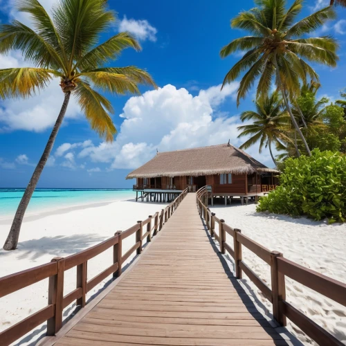 maldive islands,maldives,french polynesia,cook islands,caribbean beach,over water bungalows,belize,tropical beach,maldives mvr,caribbean,over water bungalow,moorea,the caribbean,fiji,bora bora,dream beach,seychelles,beautiful beaches,wooden pier,antilles,Photography,General,Realistic
