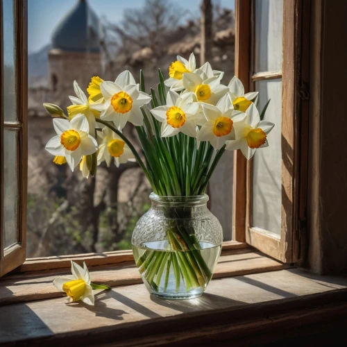 still life of spring,daffodils,jonquils,yellow daffodils,daffodil,the trumpet daffodil,yellow daffodil,tulipa tarda,jonquil,spring flowers,tulipa,spring greeting,narcissus pseudonarcissus,daf daffodil,narcissus of the poets,spring bouquet,narcissus,easter lilies,windowsill,spring bloomers,Photography,General,Natural