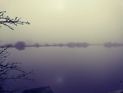 foggy landscape,river wharfe,tarn,fog banks,dense fog,early fog,loch,moor lake,morning mist,foggy day,the lake,fog,mist,the fog,winter lake,morning fog,autumn fog,blindsee,loch drunkie,lake