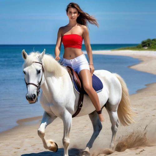 horseback riding,horse riding,horseback,equestrianism,pony mare galloping,endurance riding,arabian horse,equestrian,riding lessons,horse trainer,galloping,white horses,dream horse,horse herder,thoroughbred arabian,horse riders,centaur,riding instructor,horse looks,equestrian sport,Photography,General,Realistic