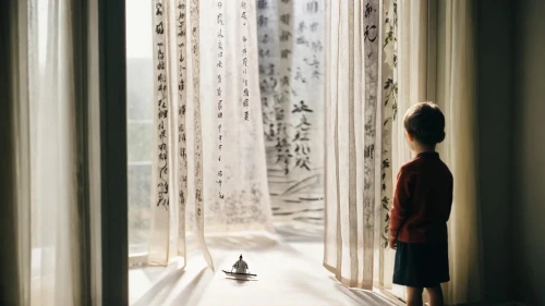 a curtain,window curtain,curtain,bamboo curtain,window treatment,curtains,blinds,looking glass,theater curtains,window blind,room divider,the little girl's room,mirror house,transparent window,window blinds,empty room,corridor,window covering,hallway,window to the world