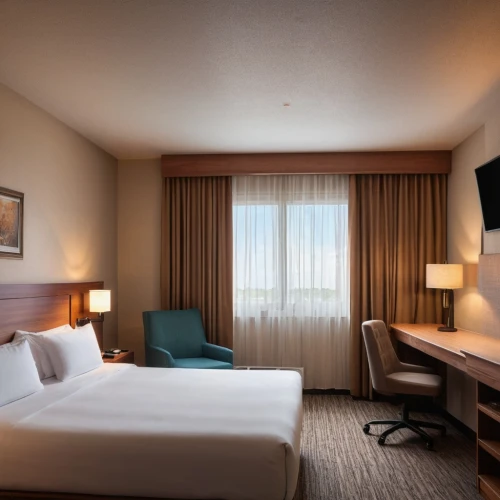hyatt hotel,hotel rooms,hotelroom,hotel room,hotels,hotel man,guestroom,accommodations,hotel hall,lodging,hotel,luxury hotel,guest room,gaylord palms hotel,wade rooms,pan pacific hotel,great room,oria hotel,accommodation,room,Photography,General,Natural