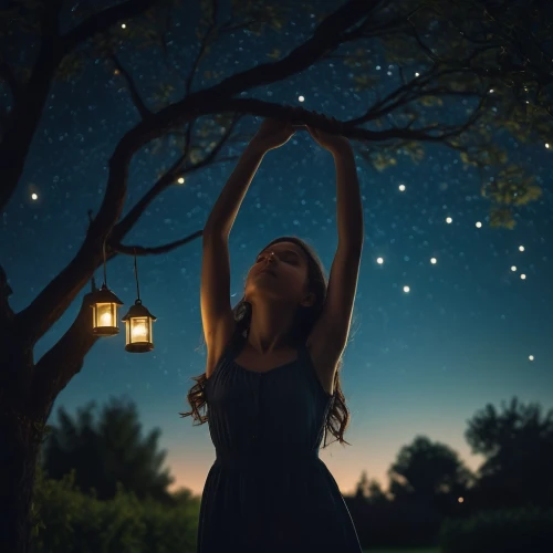 fireflies,hanging stars,the night of kupala,night stars,fairy lanterns,fairy lights,lights serenade,light of night,falling stars,firefly,starry sky,starry,falling star,night image,moon and star background,night light,the moon and the stars,night scene,night photography,night photograph,Photography,General,Cinematic