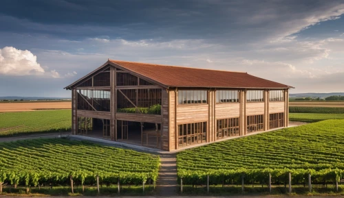 field barn,castle vineyard,winery,vineyards,wine growing,wine house,vineyard,chateau margaux,wine-growing area,timber house,wine region,swiss house,wine country,danish house,southern wine route,frisian house,quilt barn,polder,red barn,wine boxes,Photography,General,Realistic