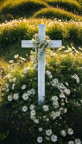 grave arrangement,memorial cross,cemetery flowers,children's grave,wayside cross,burial ground,flower crown of christ,wooden cross,calvary,the cross,crosses,cemetery,crucifix,celtic cross,soldier's grave,australian cemetery,central cemetery,cross,high cross,resting place,Photography,Documentary Photography,Documentary Photography 16