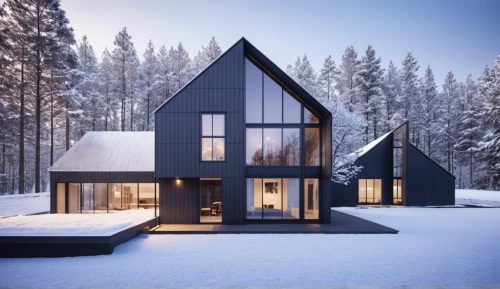 winter house,cubic house,timber house,snow house,snowhotel,inverted cottage,snow roof,wooden house,scandinavian style,cube stilt houses,cube house,house in the forest,snow shelter,small cabin,frame house,danish house,modern house,modern architecture,house shape,wooden houses,Photography,General,Realistic