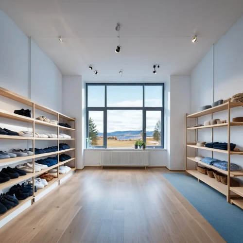 walk-in closet,shoe cabinet,shoe store,shelves,shelving,showroom,women's closet,loft,modern room,closet,garment racks,wardrobe,one-room,flooring,wood flooring,store,ovitt store,gallery,boutique,hardwood floors,Photography,General,Realistic