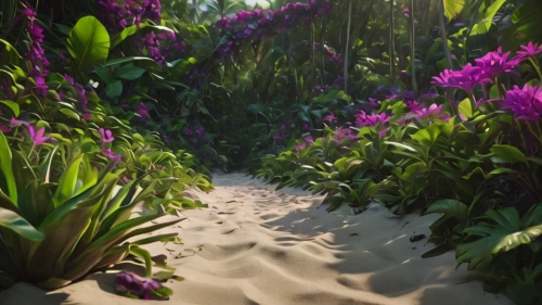 pathway,sand paths,wooden path,forest path,tropical bloom,flowerful desert,hiking path,sand road,shifting dune,virtual landscape,dunes,shifting dunes,sea of flowers,tropical jungle,sand dune,the path,trail,dune landscape,flooded pathway,sand dunes,Photography,General,Natural