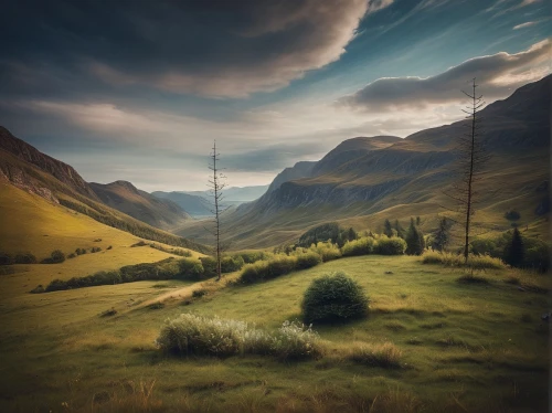 landscape background,meadow landscape,mountain pasture,fantasy landscape,mountain landscape,nature landscape,grasslands,landscapes,glencoe,rural landscape,mountain meadow,landscape nature,mountainous landscape,grassland,natural landscape,scottish highlands,landscape photography,green landscape,home landscape,larch forests,Photography,General,Cinematic