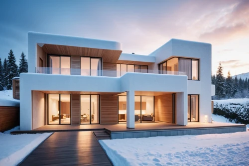 winter house,snow house,modern house,cubic house,snow roof,snowhotel,modern architecture,cube house,luxury property,avalanche protection,modern style,frame house,beautiful home,3d rendering,luxury home,luxury real estate,snowed in,dunes house,cube stilt houses,timber house,Photography,General,Realistic